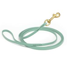 Dog Pet Leash Sage Green w/ Brass Hardware W 3/8" - L20'