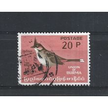 Burma.SG180 20p Red-whiskered Bulbul.Fine Used.Jul25d