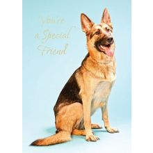 You're A Special Friend - Friendship Greeting Card - 00782