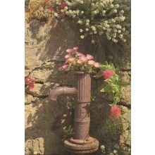 Flowers In Water Pump at Isle Of Scilly Cornwall Postcard