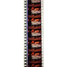 VAMPIRES. Pk MTP - A007g . 1 STRIP OF 5 - 35MM FILM CELLS. MTP