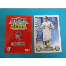 Heldar Helguson - Bolton Wanderers Match Attax 2007/08 Football Card