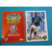 Anthony Gardner - Everton - Match Attax 2007/08 Football Card