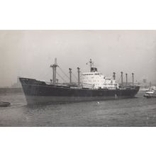 Lancashire Bibby Line Motor Vessel Ship Vintage Rare Photo