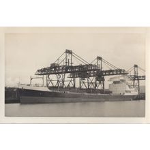 Sagamore Motor Vessel Glasgow Built Ship Vintage Rare Photo