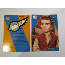 24. Virgil the Artist - Thunderbirds IR 1992 PRO SET Trade Card.