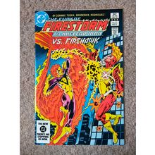 FIRESTORM # 17 (1983) DC COMICS (VFN Condition)