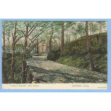 CT Litchfield Lovers Retreat Ben Venue Tree Lined Path In Woods Hand Color~511