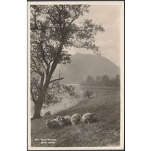 Early Morning, Rydal Water, Westmorland, 1954 - GP Abraham RP Postcard