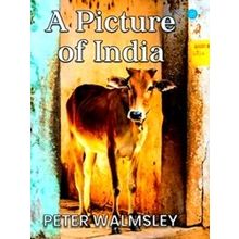 A Picture Of India