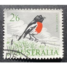 AUSTRALIA 1964 SG 0368 USED #1