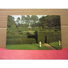 THE MAZE, SOMERLEYTON HALL, SUFFOLK. unused postcard by Jarrold. /