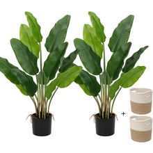 Hollyone 2Pcs Large Artificial Bird of Paradise Plant in Pot, 30" Fake Palm Trop
