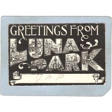 New York Coney Island Amusement Park Postcard Luna Park Greetings From Lun~416