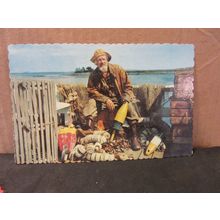 THE OLD SALT, MAINE, USA used postcard 1990 pm =