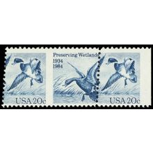 2092, Mint NH 20¢ Wetlands Ducks - Margin Copy Error * Stuart Katz