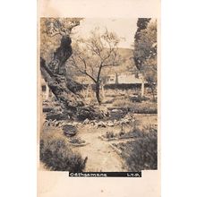 Gethsemane LTP : a photo-style postcard view
