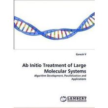Ab Initio Treatment of Large Molecular Systems