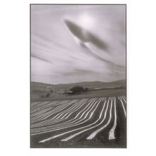 Cereste French Alpes De Haute Melon Plantations Award Photo Postcard