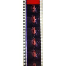 VAMPIRES. Pk MTP - A013m . 1 STRIP OF 5 - 35MM FILM CELLS. MTP