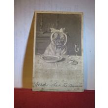 OFF HIS FEED, dog with toothache used antique postcard by C.W.Faulkner 1903 pm =