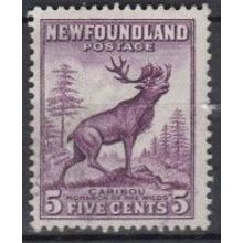 Newfoundland 1932 1c Caribou SG 213 U/Mint