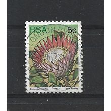 SouthAfrica.SG418 5c Protea Cynaroides.Fine Used.Sep25u