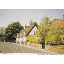 Trumpington Cottage Cambridge Postcard