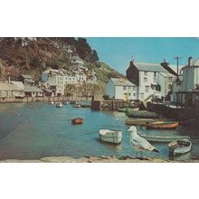 Polperro Feeding Time For Birds Waiting For Breakfast Cornwall Old Postcard
