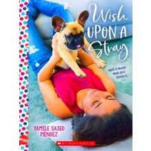Wish Upon A Stray