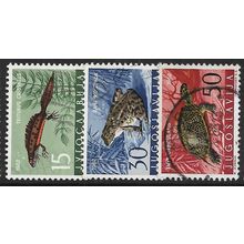 1962 3 different values - fine used (o) - ANIMAL