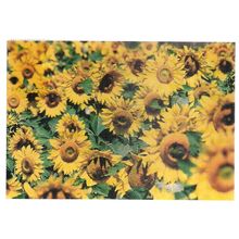 SUNFLOWERS, PROVENCE, FRANCE used postcard 2001 =