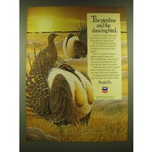 1990 Chevron Oil Ad - The pipeline and the dancing bird