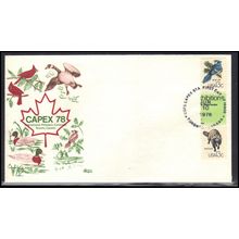 FDC Bazaar 1757d 13c Blue Jay 1757h Racoon (Cachet-U/A) Box0649