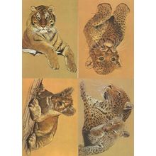 Tiger Paintings 4x Stunning Art Postcard s