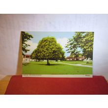THE GREEN, STOKESBY, NORFOLK used postcard 1992 pm =