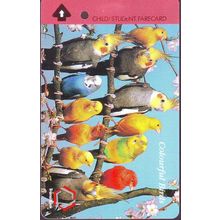 Colourful Birds S'pore Transitlink Train/Bus Card
