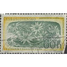 CZECHOSLOVAKIA, FLOWER, Edelweis, Leontopodium, green & yellow 1957, 27mm, #3