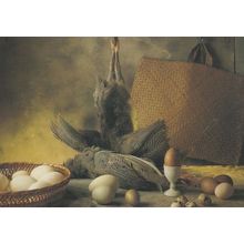 Guinea Fowl White Hens Egg Eggs Goose Duck Pheasant Still Life Food Postcard