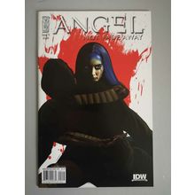 ANGEL: NOT FADE AWAY #2 - IDW COMICS - 1st PRINT