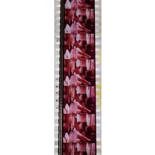 Pulp Fiction. Pk VXM - b048V. 1 STRIP OF 5 - 35MM FILM CELLS PK VXM