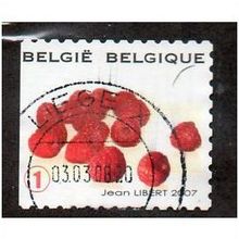 BEL 2007 (52c)(S/A) 'FRUIT- RASPBERRIES' FINE USED (EBID10410)