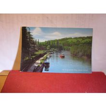 from GORING BRIDGE, RIVER THAMES, OXFORDSHIRE unused postcard by J. Salmon =