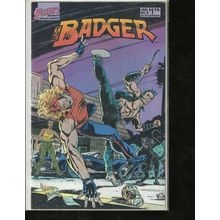 The Badger, #9, First Comic, Mid Grade