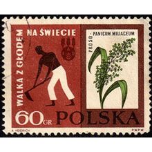 Poland 1963 Fight against Hunger 60gr Used Stamp Flower