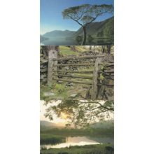 Crummock Water Maple Tree Elterwater Gate 3x Award Cumbria Postcard s
