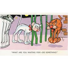 Cat Stuck In Railings Dog Laughing Disaster Comic Animal Postcard