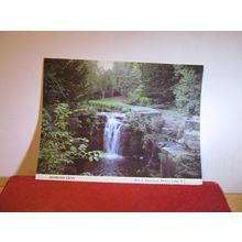 JESMOND DENE, NEWCASTLE unused postcard Whitley Lodge W.I. =
