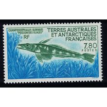 FSAT TAAF Mackerel Icefish Fish Marine Fauna 1991 MNH SG#280 MI#275