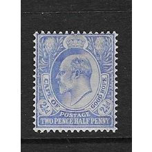 CAPE OF GOOD HOPE 1902-4 EDVII 2½d MINT SG73